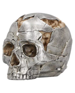 Fraktur Totenschädel 16cm -Karneval Universe fracture totenkopf fracture totenschaedel fracture skull gothic deko 54583 04
