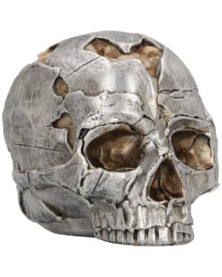 Fraktur Totenschädel 16cm -Karneval Universe fracture totenkopf fracture totenschaedel fracture skull gothic deko 54583 06