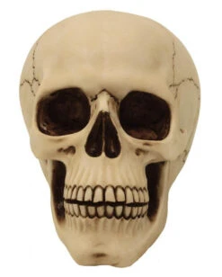 Graveyard Totenschädel Large -Karneval Universe graveyard totenkopf large graveyard totenschaedel graveyard skull large gothic deko 52351 02