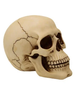Karneval Universe -Karneval Universe graveyard totenkopf large graveyard totenschaedel graveyard skull large gothic deko 52351 03