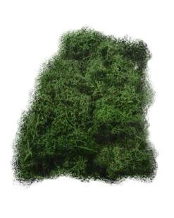 Halloween Deko Moos 50 G