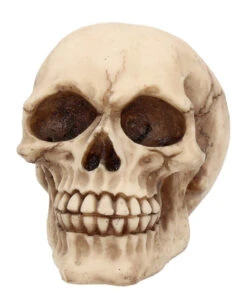 Karneval Universe -Karneval Universe kleiner grinsender totenschaedel small joker skull totenkopf dekoration gothic deko 50730 02