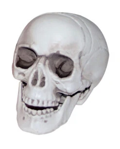 Mini Totenkopf Mit Beweglichem Kiefer