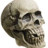 Verwitterter Skull Totenkopf