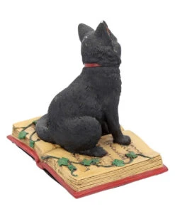Schwarze Hexenkatze Mit Pentagramm -Karneval Universe schwarze katze mit hexenbuch schwarze hexenkatze mit pentagramm witch cat eclipse 39250 04
