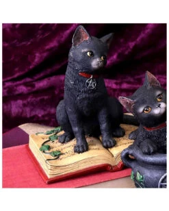 Schwarze Hexenkatze Mit Pentagramm -Karneval Universe schwarze katze mit hexenbuch schwarze hexenkatze mit pentagramm witch cat eclipse 39250 05