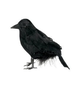 Schwarzer Rabe 15 Cm