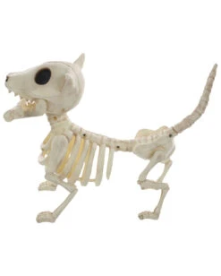 Hunde Skelett Mit Knochen 27cm -Karneval Universe skelett hund mit knochen hunde skelett mit knochen skeleton dog with bone 52641 03