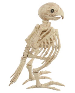 Papagei Skelett 19cm -Karneval Universe skelett papagei skeleton parrot halloween dekoration 52638 03