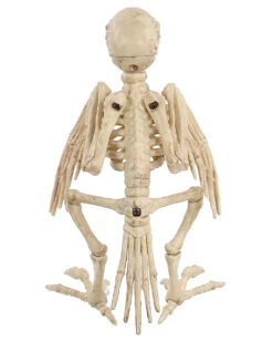 Papagei Skelett 19cm -Karneval Universe skelett papagei skeleton parrot halloween dekoration 52638 04